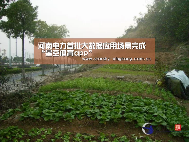星空体育app