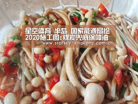 星空体育 半岛_国家能源局绘2020施工图:煤炭兜底保障油气安全保障
