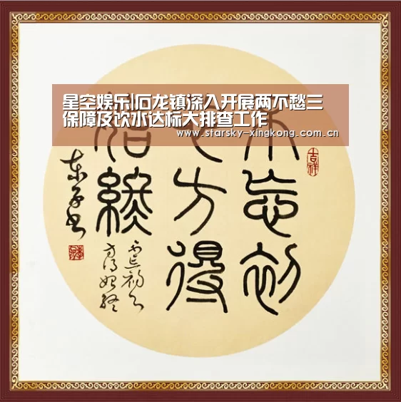 星空娱乐|石龙镇深入开展两不愁三保障及饮水达标大排查工作